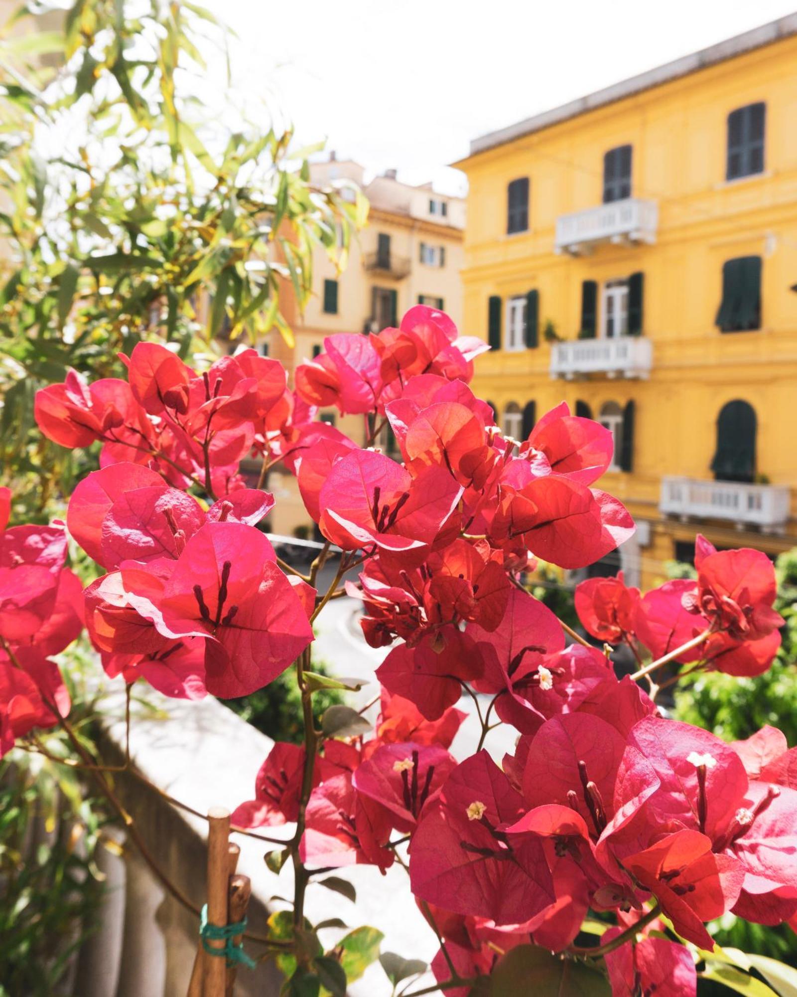 I Sapori Del Levante La Spezia Buitenkant foto